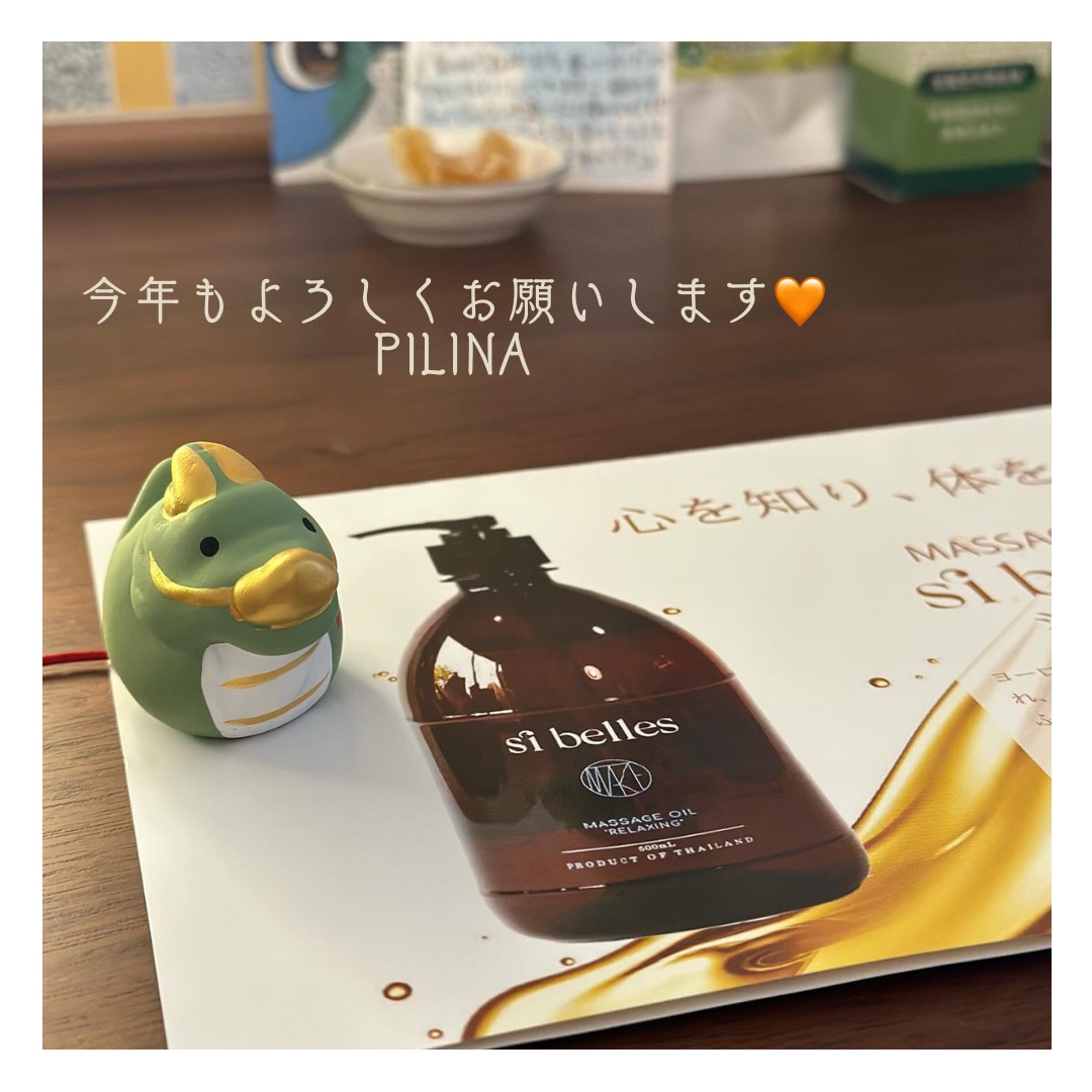 Read more about the article こんにちは🌞Pilinaです！